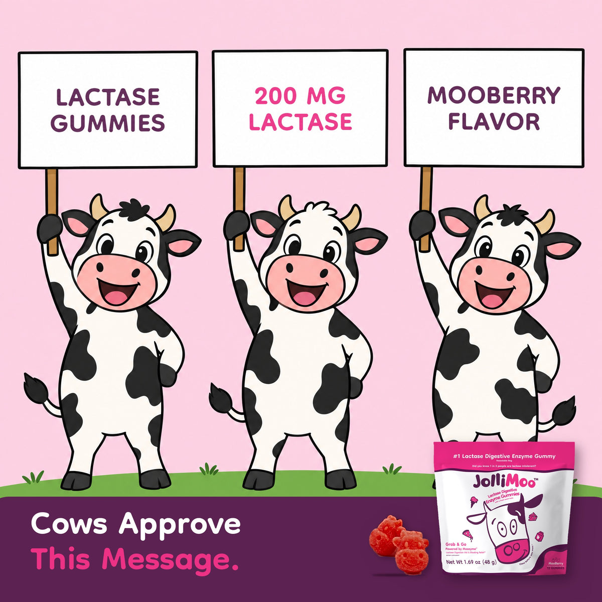 JolliMoo Lactase Enzyme Gummies, 10,500 ALU, Mooberry, 12 Count Pouch