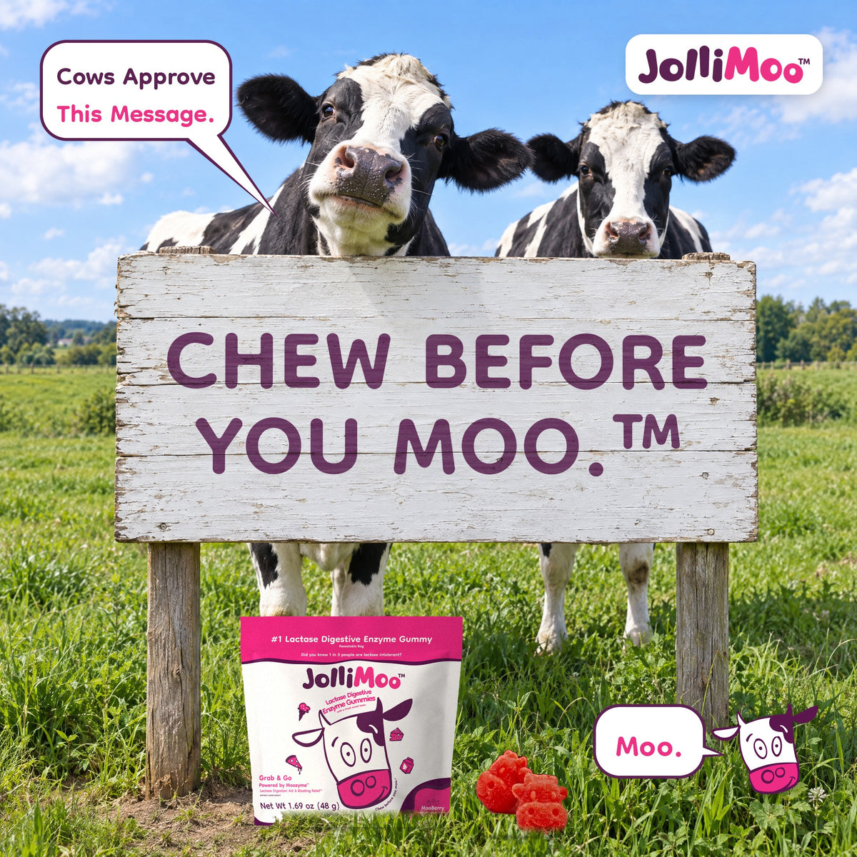 JolliMoo Lactase Enzyme Gummies, 10,500 ALU, Mooberry, 12 Count Pouch